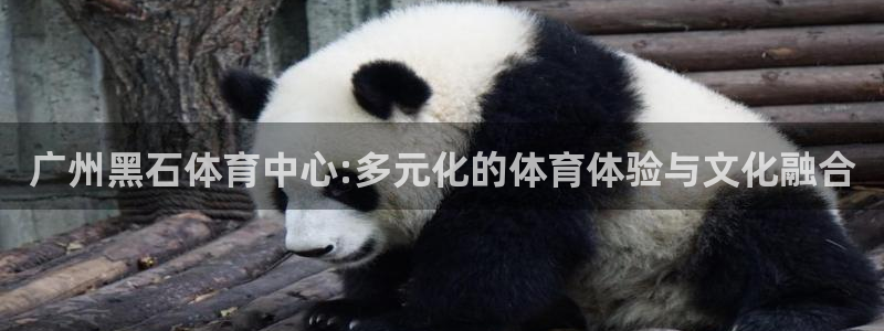 oety欧亿