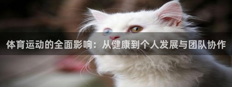 oety欧亿