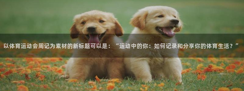 oety欧亿