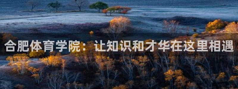 oety欧亿