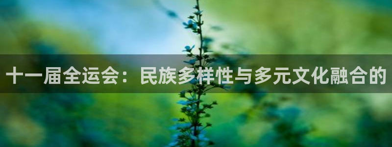 oety欧亿