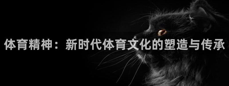 oety欧亿