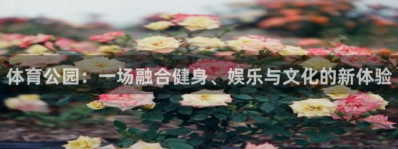 oety欧亿
